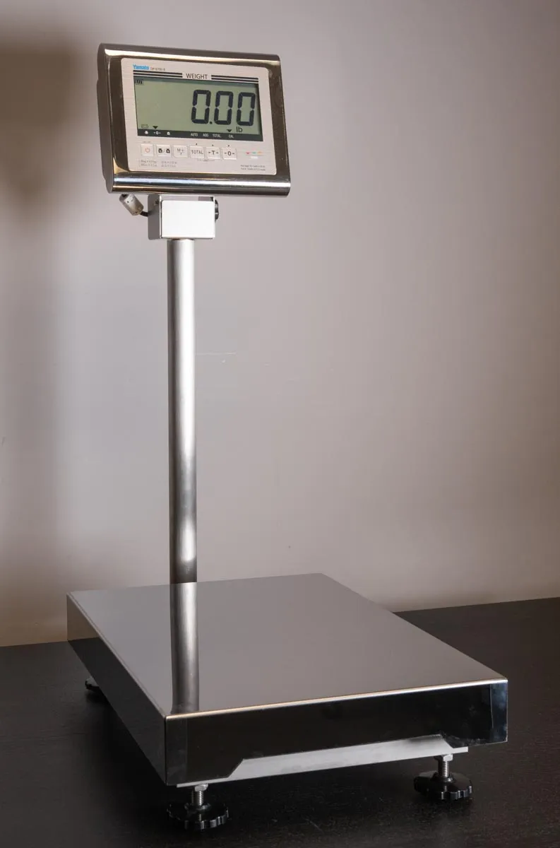 Stainless steel platform scale with its indicator mounted on a column